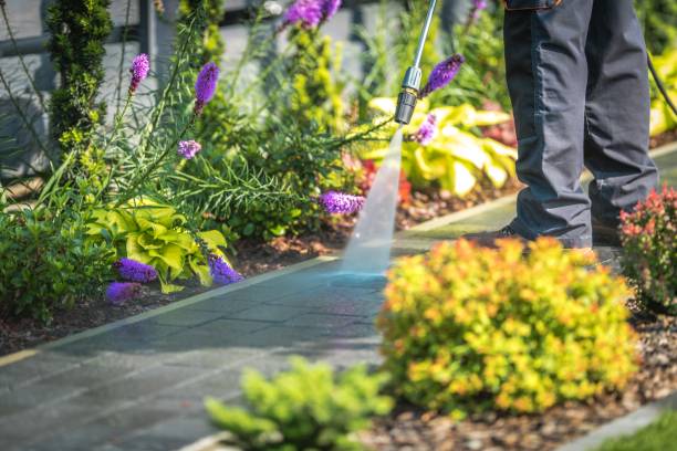 Best Winterizing Services  in Chester Heights, PA