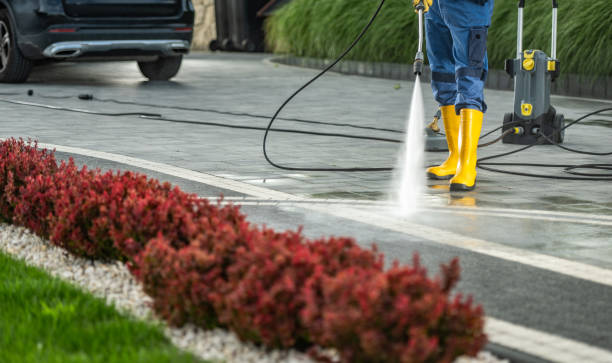 Best Driveway Pressure Washing  in Chester Heights, PA